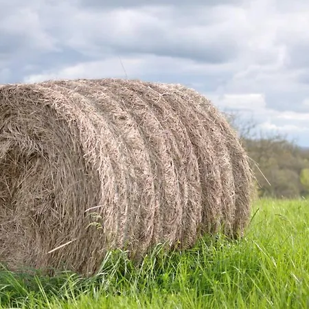 Hébergement de vacances En Pleine Nature Proche Du De La Gimone