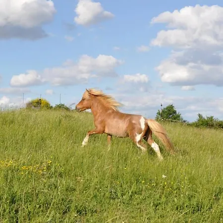 En Pleine Nature Proche Du De La Gimone