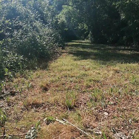 En Pleine Nature Proche Du De La Gimone